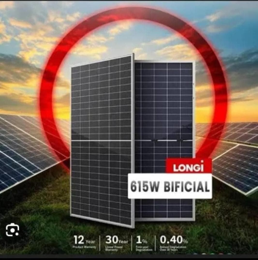 Panel Solar Bifacial